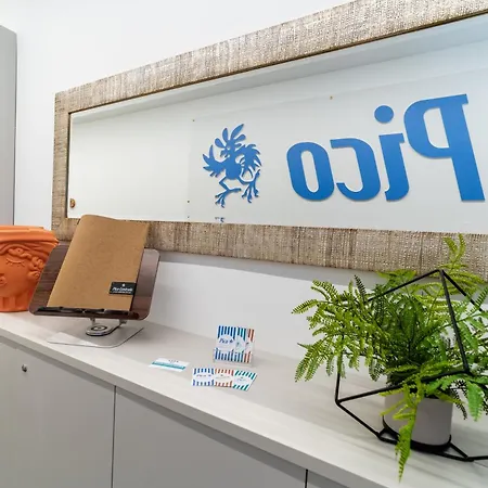 Pico 49 Appartement *