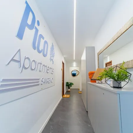 Pico 49 산레모